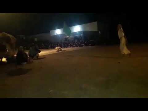 فرقة سفينة النجاة الحسينية 1