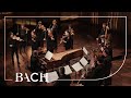 Bach - Orchestral Suite No. 4 in D major BWV 1069 - Mortensen | Netherlands Bach Society