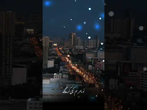 العالية الحلقة 12 عامر البوصي قاسم عمر منی احمد حسين اشواق علي مروان المخلافي الاصبحي