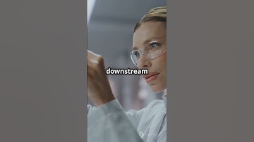 Stages of Bioprocessing Explained in 60 seconds! #sciencefacts #scienceknowledge #facts