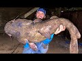 River Fishing ENORMOUS FLATHEAD CATFISH - Spillway Giants!