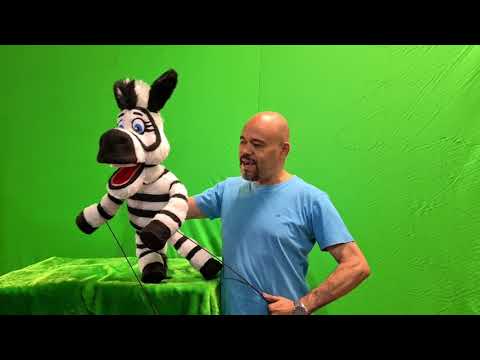 zebra zaza