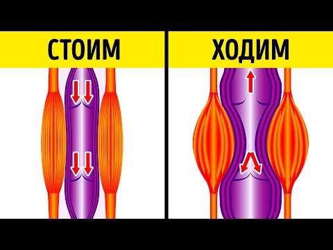 Видео: Экологическая кишечная дисфункция: обзор потенциальных механизмов, последствий и стратегий управления