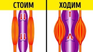 12 Жизненно Важных Вопросов, на Которые вы Всегда Искали Ответы 12 Жизненно Важных Вопросов, на Которые вы Всегда Искали Ответы