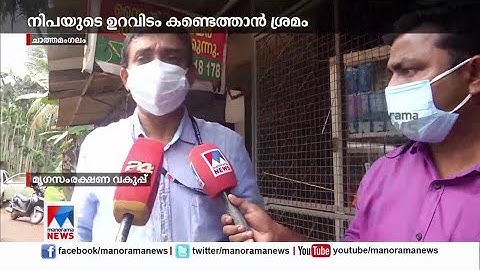 നിപ്പയുടെ ഉറവിടം കണ്ടെത്താന്‍ ശ്രമം; ആടിന്‍റെ സ്രവം എടുത്തു| Nipah |Animals| Testing