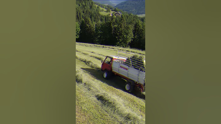 Do you remember this video? 😎🔥Here's a short version, enjoy! #HayHarvest #Mountain