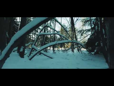 Менделеевск зимний лес
