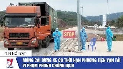 Móng Cái dừng xe có thời hạn phương tiện vận tải vi phạm phòng chống dịch - VNEWS