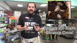 How to Choose the Best Cleanup Crew for Your Bioactive Tank! ♻