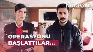 Bize Ait Olan Her Yere Girecekler Rüya Gibi