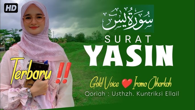 Jinsiy tayt va baliq torlari