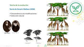 Cápsula "Teorías sobre el origen y evolución de las especies" - BIOLOGÍA