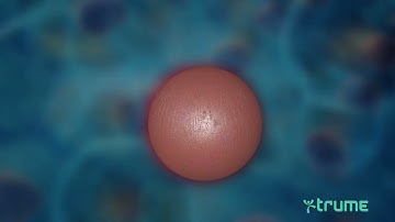 DNA methylation: Explainer video