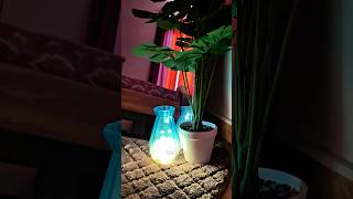 ✨ Little Details That Made My Home Feel Like Home