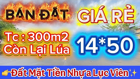 Bán Đất Mặt Tiền Đường Nhựa Lục Viên Giá Rẻ Ở Đức Hoà Long An DT : 14x50=700m2 Đất Thổ Cư : 300m2 