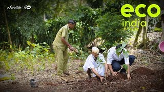 Eco India: In spacestrapped Mumbai, citizens are using a Japanese technique to create green cover