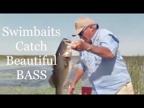 Big Beautiful BASS on the Heart Tail Swimbait