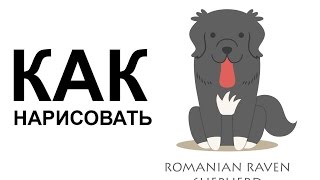 Картинки собаки. КАК НАРИСОВАТЬ СОБАКУ карандашом поэтапно Картинки собаки. КАК НАРИСОВАТЬ СОБАКУ карандашом поэтапно
