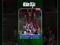 తిరుమల దర్శనం - Metro TV Telugu