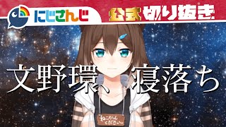 君は文野環を知っているか ~ナンにポテチを添えて~【文野環神回まとめ】【にじさんじ / 公式切り抜き / VTuber】