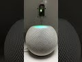 🤣🤣What’s wrong Siri?#aithinker #module #wifi #engineering #iot