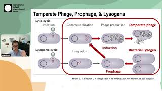 Jeremy Barr - Isolation, engineering and ecology of temperate phages from the human gut | MVIF45 S05