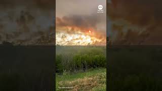 Huge plumes of smoke rise from Florida Everglades wildfire