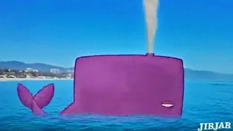 Summer Video Jib Jab