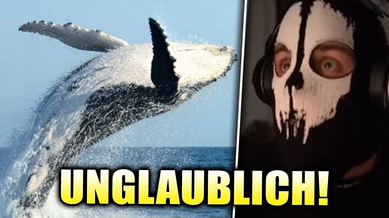 Wie Atemberaubend😱 Moji ist komplett geschockt YouTube