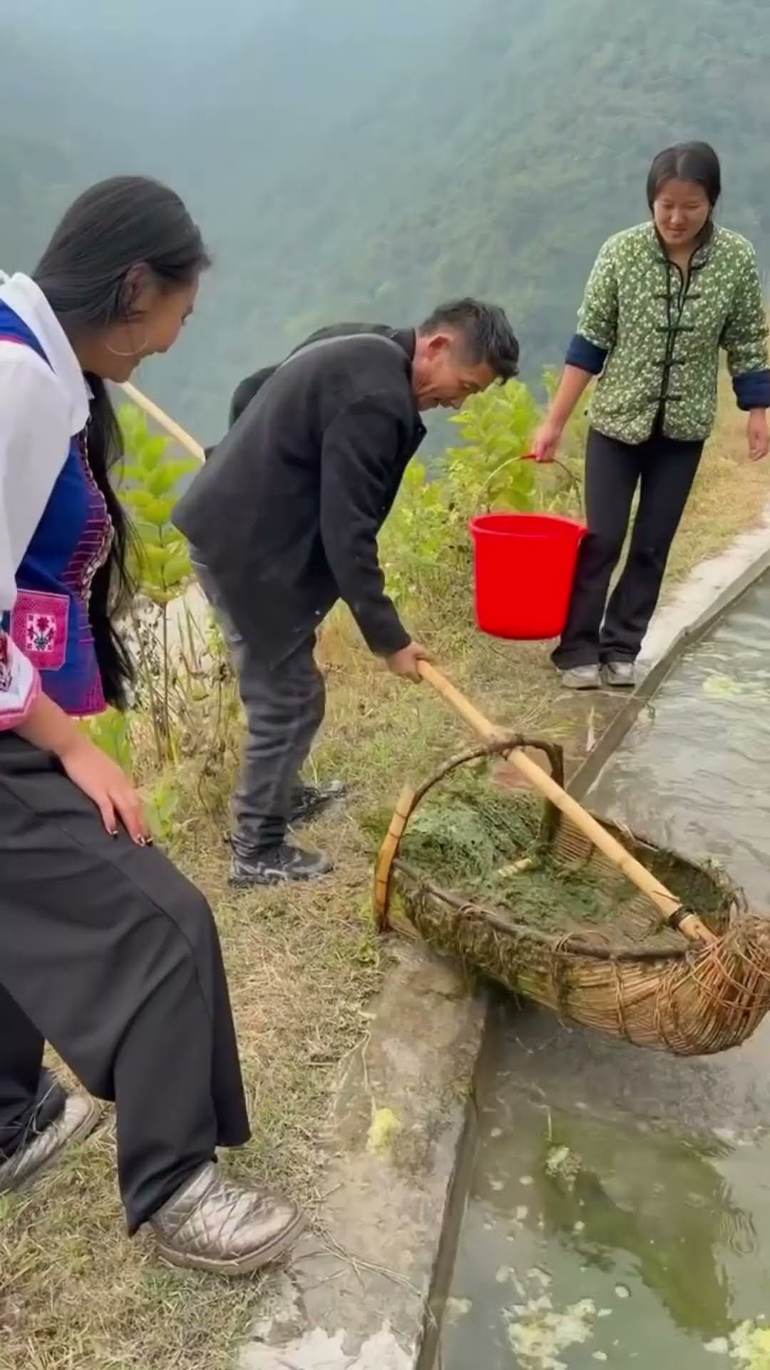 snake found in basket from river #shortsvideo