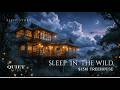 Sleep in a $15M Eco-Luxury Treehouse: Daintree Rainforest Rain (Luxury Sleep Story for Deep Sleep)