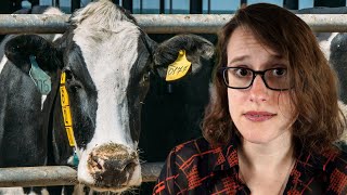 just eat dairy cows😬💔