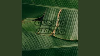 Godong Gedang