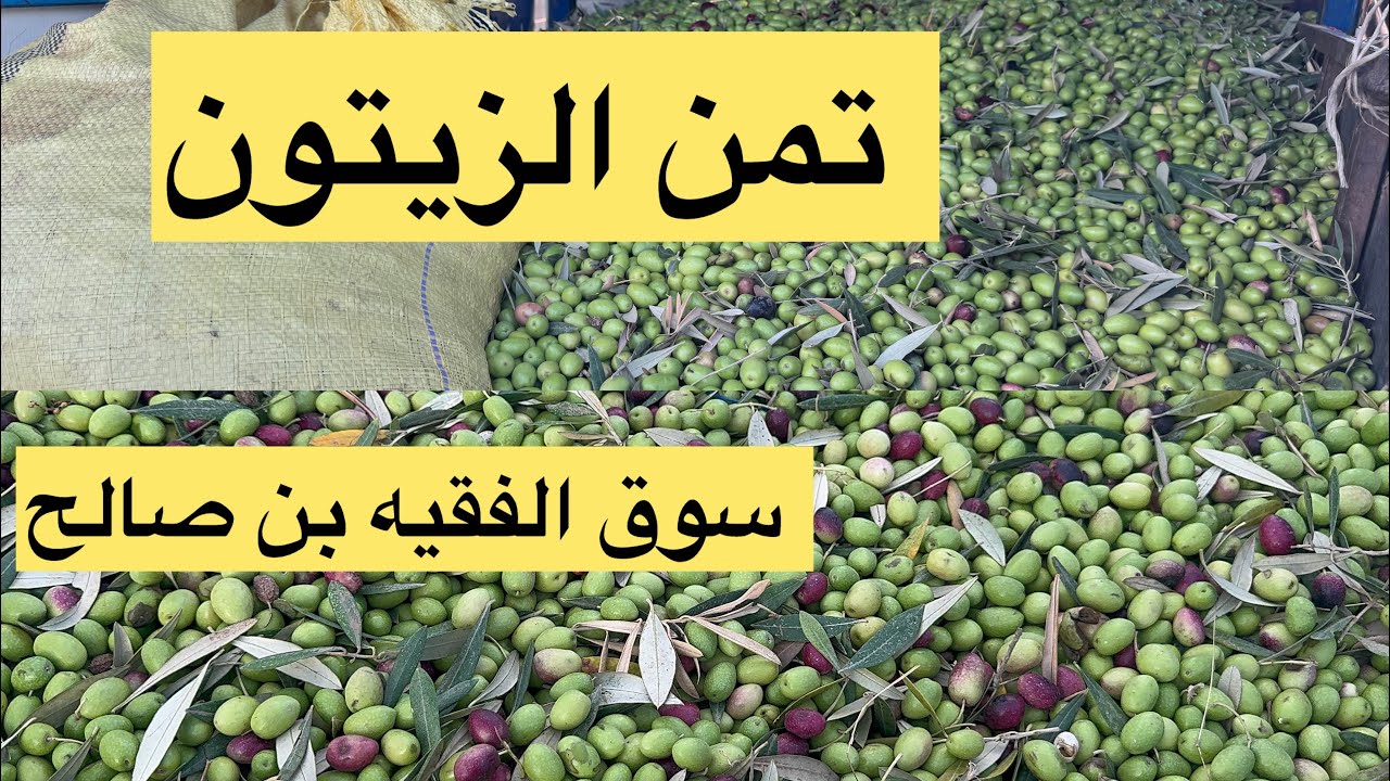 ياسلام على خيرات مولانا بسوق الفقيه بن صالح شاهد اتمنة الزيتون من عند الفلاح