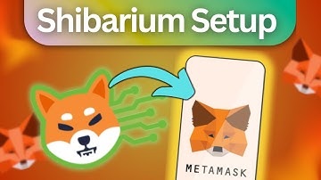 How to Add Shibarium Network to Metamask - Full Step by Step Tutorial