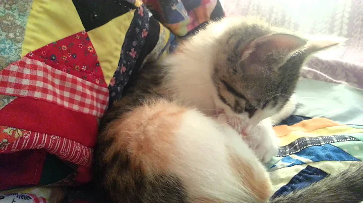 I think she has early warning signs of possessed l...