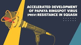 Accelerated Development of Papaya Ringspot Virus (PRSV) Resistance in Squash