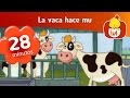 La vaca hace mu- Capítulo especial de media hora  | Cartoon para Niños -Luli TV