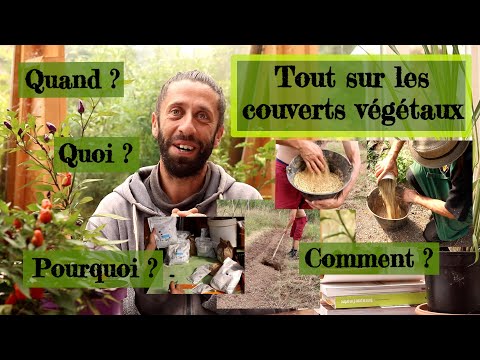 Vidéo: Cultures végétales de couverture - Utilisation d'une couverture végétale indigène pour les jardins potagers