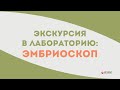 Эмбриоскоп: развитие эмбриона в лучших условиях #роды #эмбриология #репродуктолог #здоровыйребенок