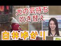 【白井ゆかり】犬の吹き替えアテレコ ゆかりさん【ウェザーニュースLiVE切り抜き】