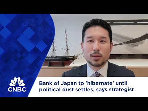 Bank of Japan to 'hibernate' until political dust settles, says strategist Episode cover