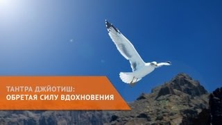 Тантра-Джйотиш: обретая силу вдохновения Тантра-Джйотиш: обретая силу вдохновения