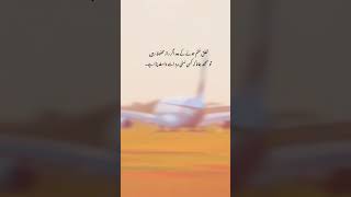 A Poetry About Secrets, Trust & Broken Bonds ✈️💔"