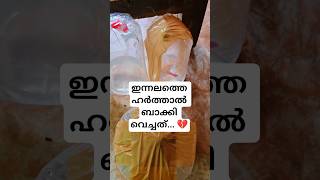 Fishlover #guppylove #socialissue #saveanimals #malayalamreel #justice #awareness #keralagram