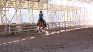 SOLD Napoleon flat work