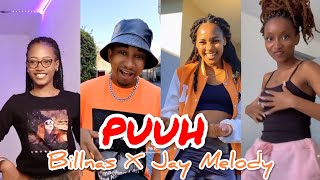 Billnas Ft Jay Melody Puuh TikTok Dance Challenge