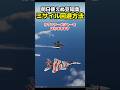 明日は使えぬ！戦闘機のミサイル回避方法！ #戦闘機 #dcsworld
