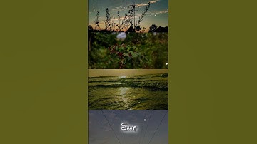 Thumbnail of Love Nature with romantic song 😍💘 #shorts #nature