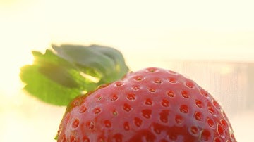 THE EXTRAORDINARY LIFE AND TIMES OF STRAWBERRY